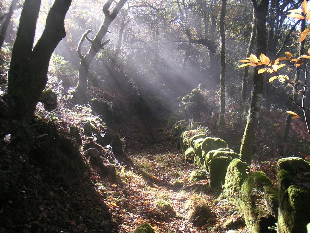 Penzion A Casa Da Eira Cerreda Exteriér fotografie